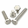 SS Bolts